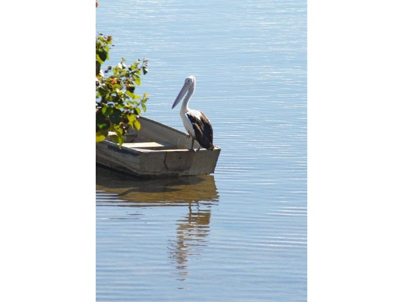 Maroochydore QLD 4558