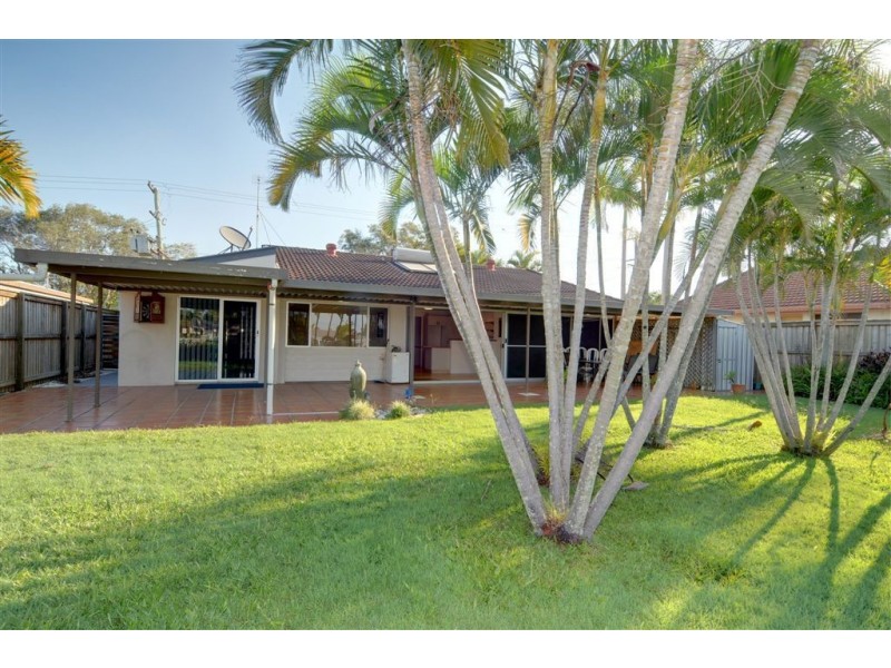 11 Cootamundra, Mountain Creek QLD 4557