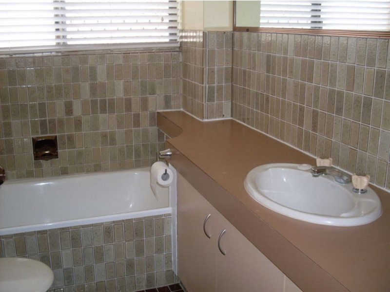 Mooloolaba QLD 4557