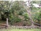 Buderim QLD 4556