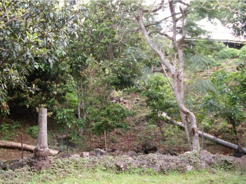 Buderim QLD 4556