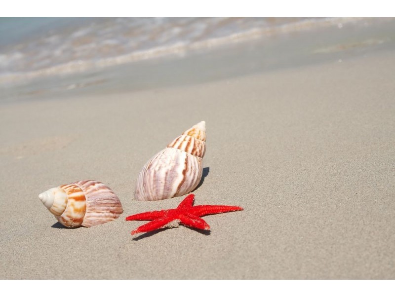 1/13 Tarcoola Avenue, Mooloolaba QLD 4557