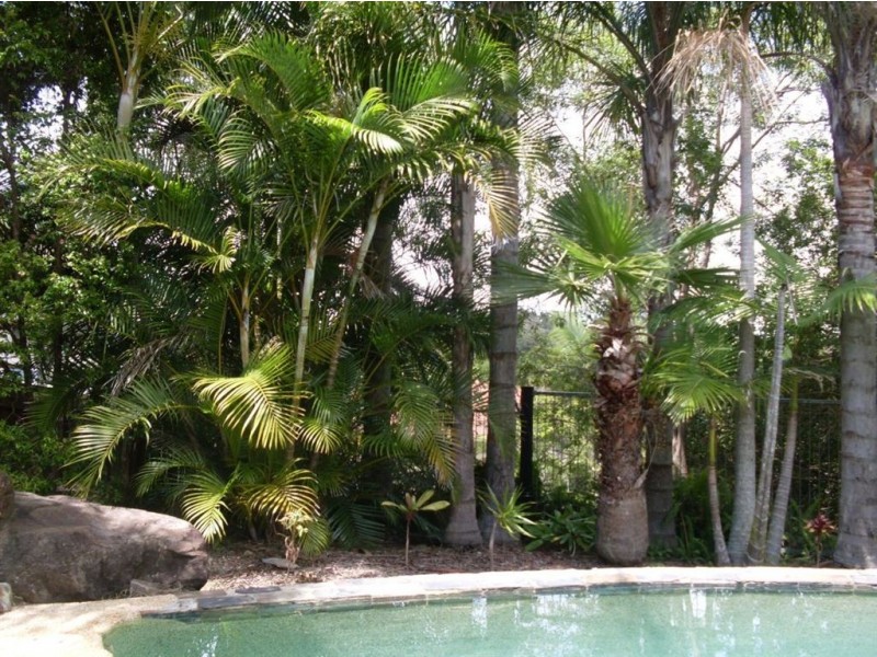 Buderim QLD 4556