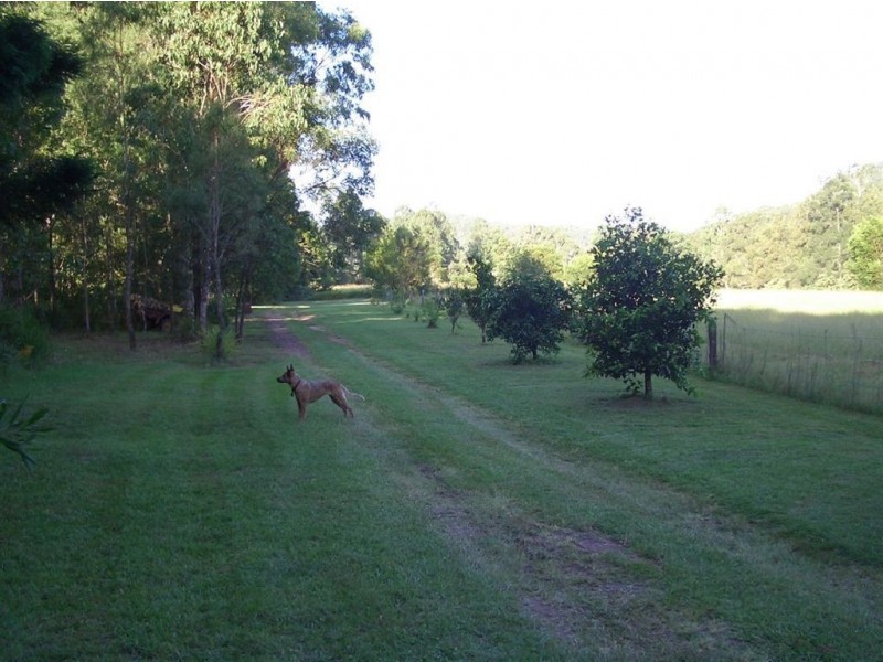 92-110 Oakey Creek Road, Gheerulla QLD 4574