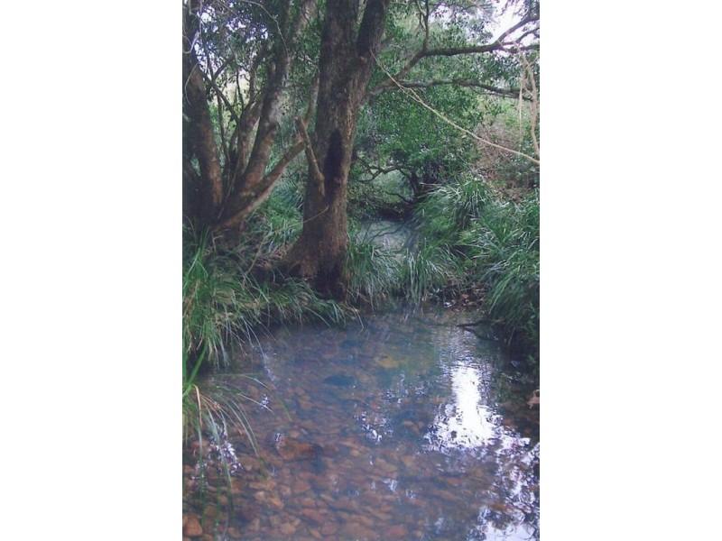 92-110 Oakey Creek Road, Gheerulla QLD 4574