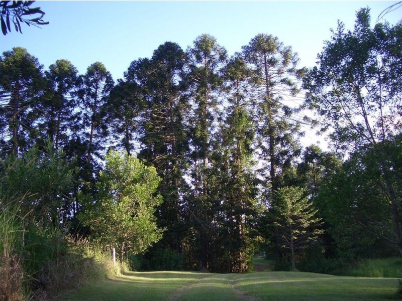 92-110 Oakey Creek Road, Gheerulla QLD 4574