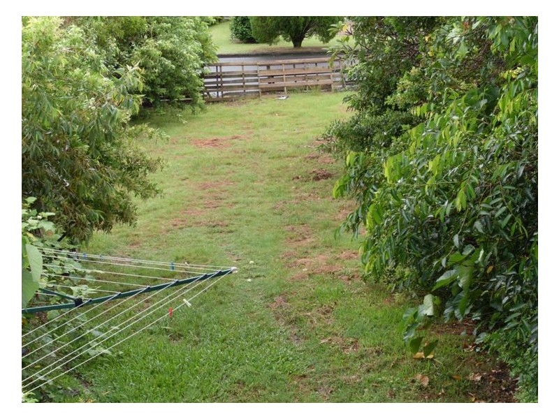 28 Buderim Avenue, Alexandra Headland QLD 4572