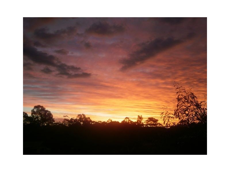 17 Kanga Court, Ninderry QLD 4561