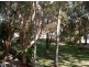 4 Norman Avenue, Maroochydore QLD 4558