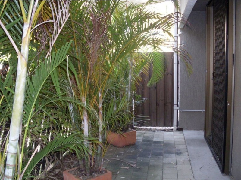 1/19 Tombarra St, Mooloolaba QLD 4557