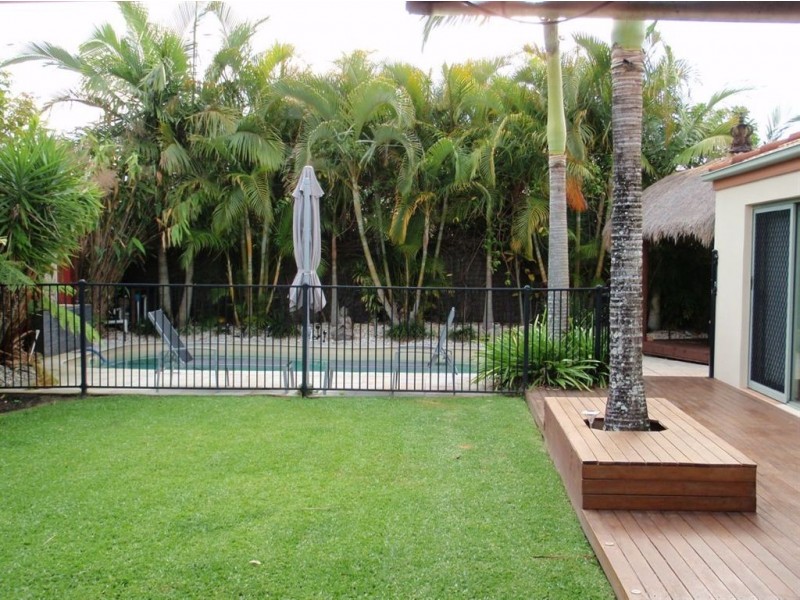 55 Mountain Ash DR, Mountain Creek QLD 4557