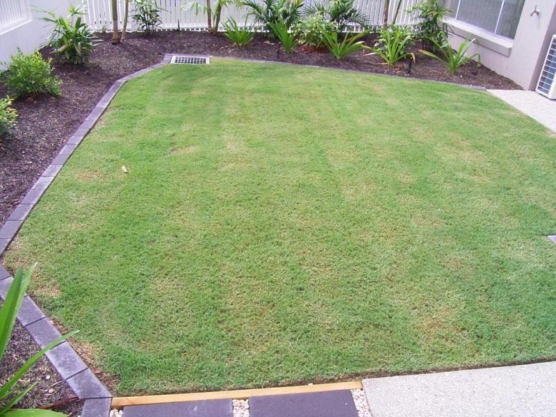 Maroochydore QLD 4558