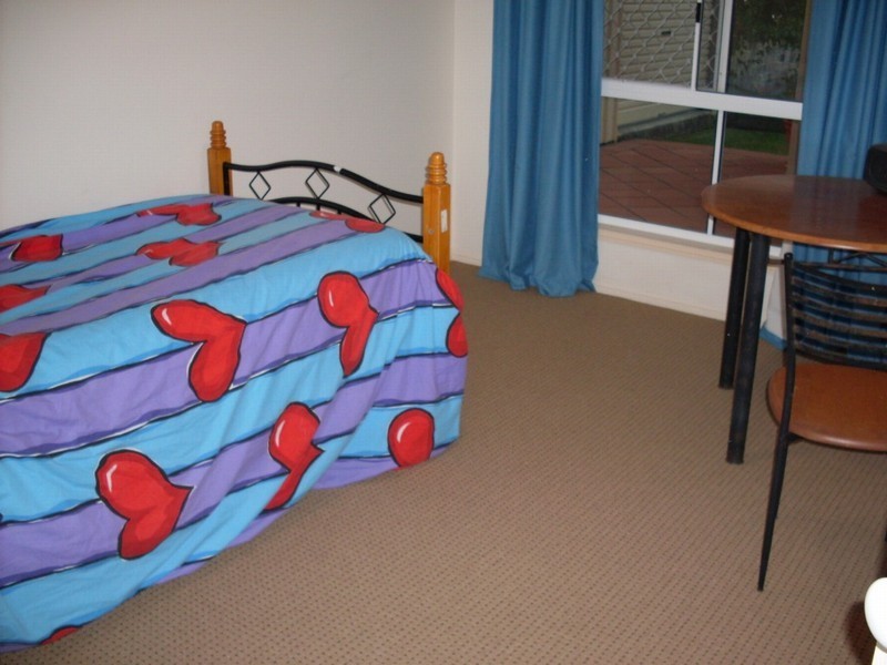 Dicky Beach QLD 4551