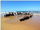 Dicky Beach QLD 4551