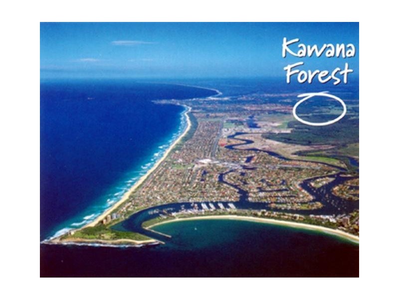 L177 Kurrajong Crescent, Birtinya QLD 4575