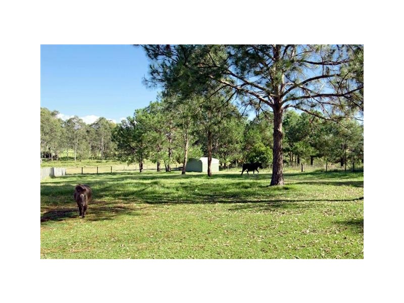 31 Jordan Street, Caloundra QLD 4551