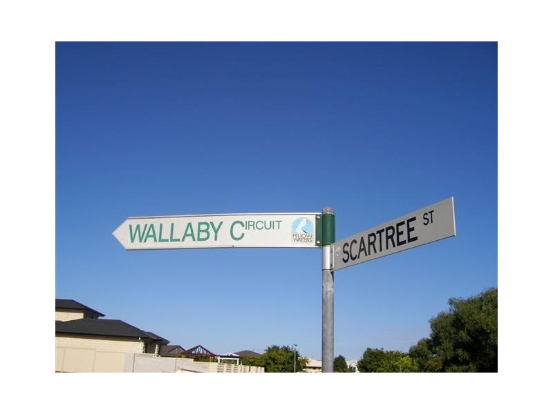 21 Wallaby Circuit, Pelican Waters QLD 4551