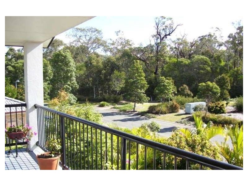 53 Mimosa Crescent, Currimundi QLD 4551
