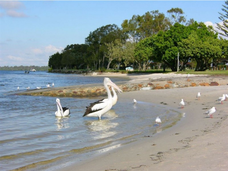 96 Tweddell Drive, Pelican Waters QLD 4551