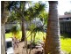 19 Browning Boulevard, Battery Hill QLD 4551