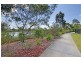 27 Park Hollow Mews, Little Mountain QLD 4551