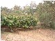 108 RP181957 Cactus Ct, Upper Coomera QLD 4209