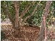 108 RP181957 Cactus Ct, Upper Coomera QLD 4209