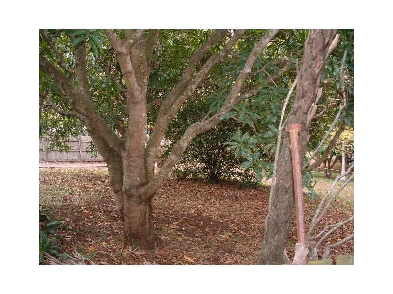 108 RP181957 Cactus Ct, Upper Coomera QLD 4209