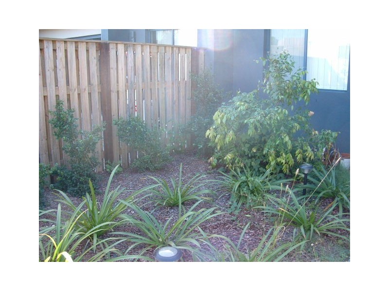 53/56 Weir Drive, Upper Coomera QLD 4209