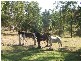 54 Holyrood Road, Maudsland QLD 4210
