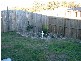 15 Valda Av, Coomera QLD 4209