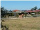 16 Serin Street, Upper Coomera QLD 4209