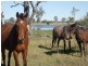 Lot 12 West Road, Coominya QLD 4311