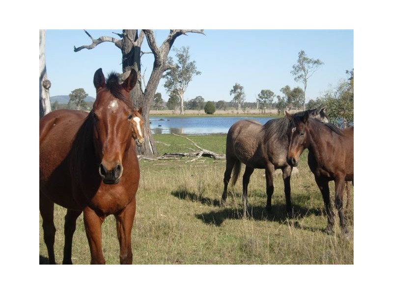 Lot 12 West Road, Coominya QLD 4311