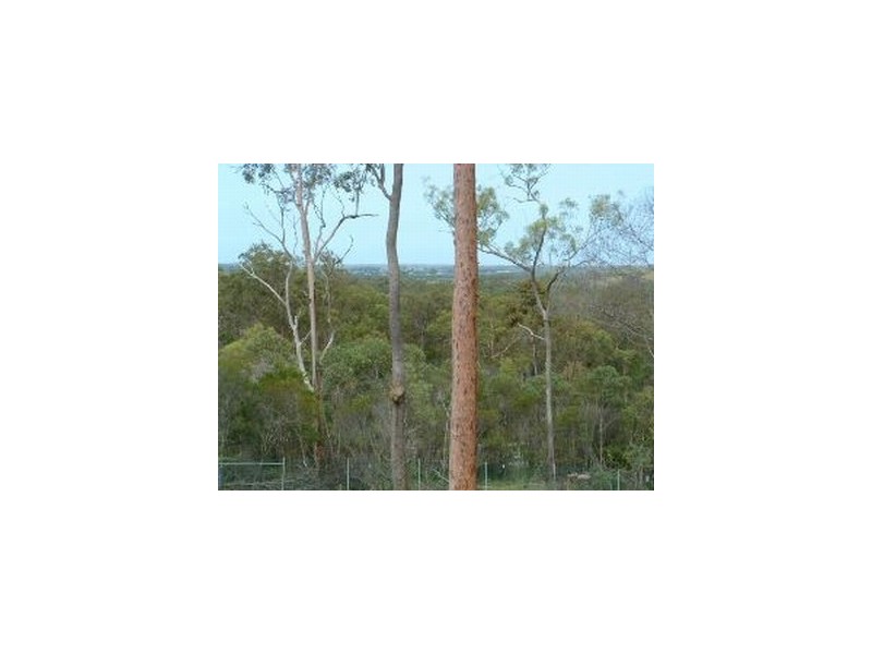 Lot 13- 99 Guara Grove, Pimpama QLD 4209