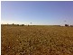 Norwell QLD 4208