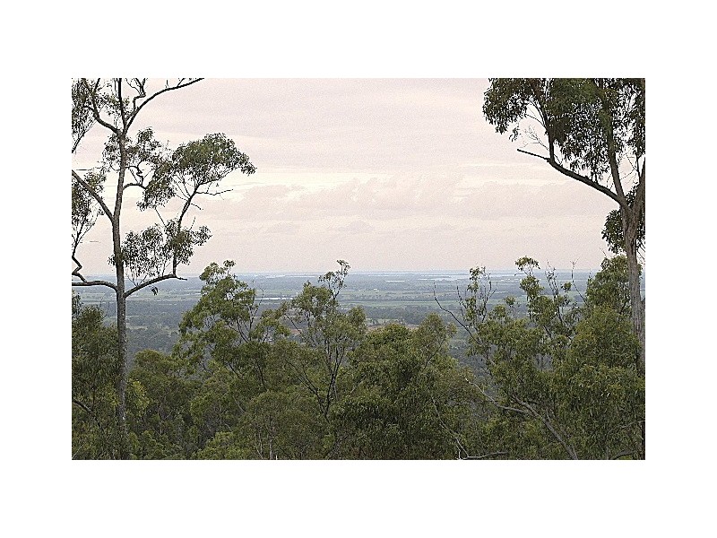 Willow Vale QLD 4209