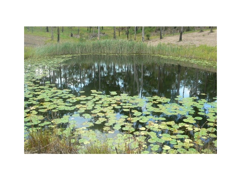 Willow Vale QLD 4209