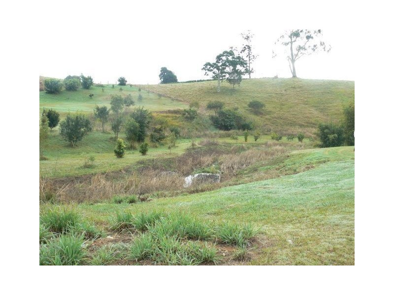 Willow Vale QLD 4209