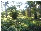 Ormeau QLD 4208