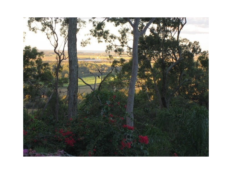 11 Cobradah Court, Pimpama QLD 4209