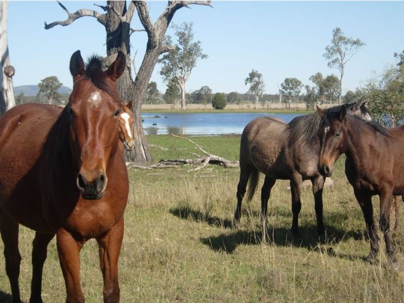 L 12 West Road, Coominya QLD 4311