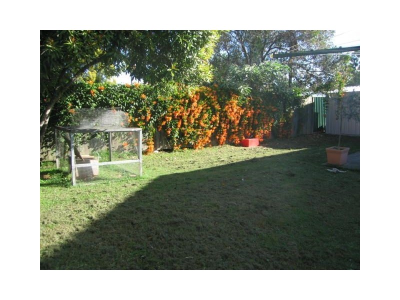 19 Carlton Close, Bethania QLD 4205