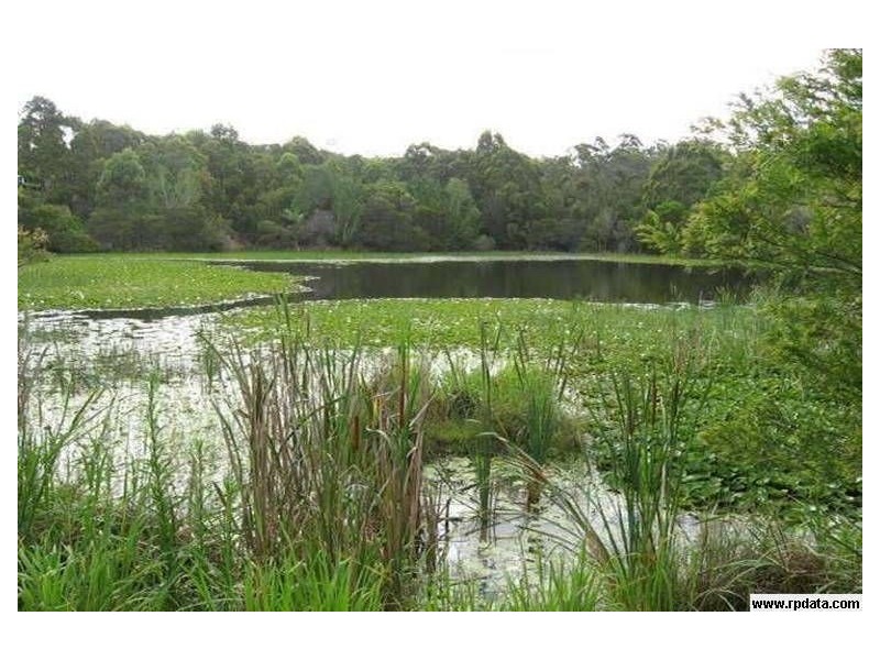 Maudsland QLD 4210