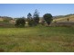 Willow Vale QLD 4209
