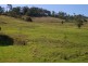 Willow Vale QLD 4209