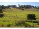 Willow Vale QLD 4209