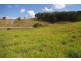 Willow Vale QLD 4209