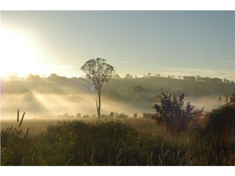 12a Ferguson Rd, Yatala QLD 4207