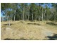 106 Guara Grove, Pimpama QLD 4209
